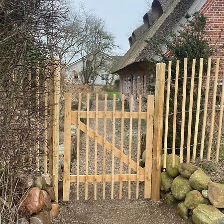 Entzueckende Reetdachkate Am Feldrand Mit Kamin
