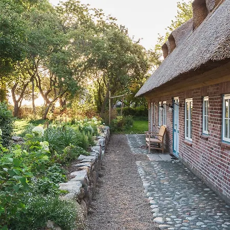 Entzueckende Reetdachkate Am Feldrand Mit Kamin Feriehus