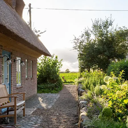 Feriehus Entzueckende Reetdachkate Am Feldrand Mit Kamin